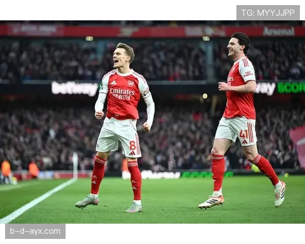 布莱顿延续强势表现，英超赛场豪取连胜