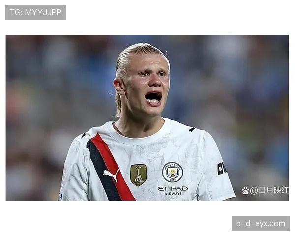 哈兰德德甲金靴竞争