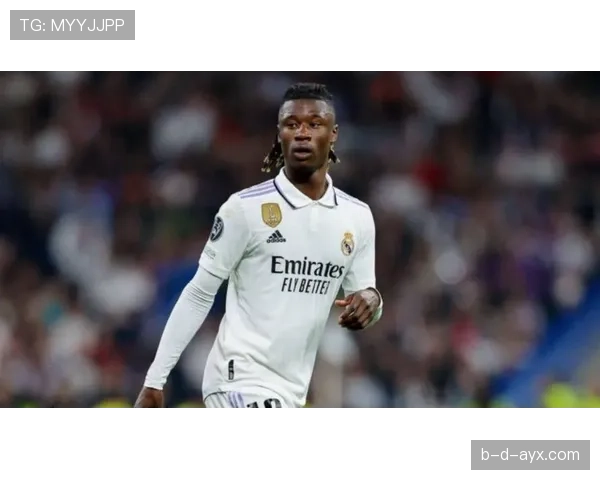 卡马文加防守能力解析